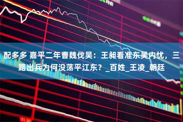 配多多 嘉平二年曹魏伐吴：王昶看准东吴内忧，三路出兵为何没荡平江东？_百姓_王凌_朝廷